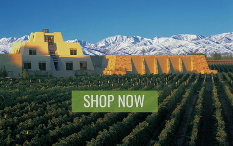 99, 98 pts & more - Catena Zapata new arrivals!