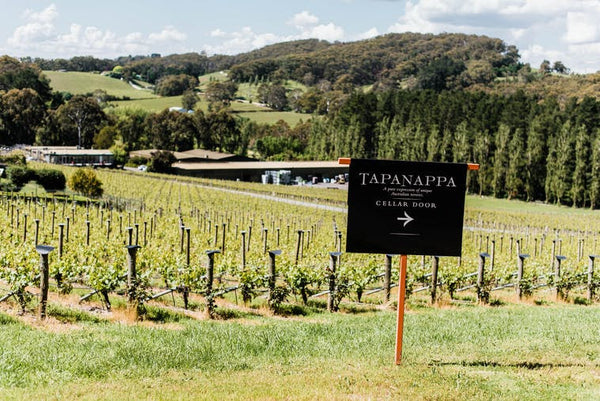 'One of the greatest' Tapanappa Chardonnay 2021