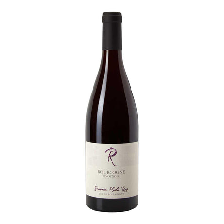 Domaine Elodie Roy Bourgogne Pinot Noir 2022-Red Wine-World Wine