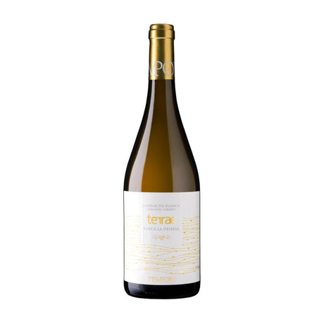 Bodegas Tempore IGP Bajo Aragon Terrae Finca La Dehesa 2020-White Wine-World Wine