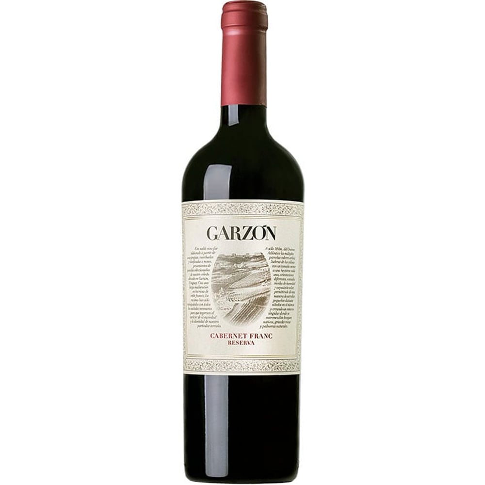 Bodega Garzón Cabernet Franc Reserva 2021-Red Wine-World Wine