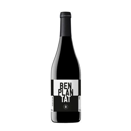 Cellar Bellaserra Ben Plantat Red 2019-Red Wine-World Wine