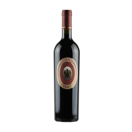 Cesani IGT Rosso Toscano Luenzo 2013-Red Wine-World Wine