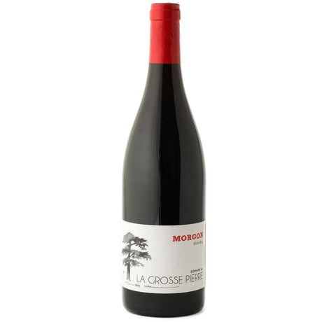 La Grosse Pierre Morgon Douby 2021-Red Wine-World Wine