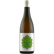 Fletcher 'Arcato' Vino Bianco - Orange Wine 2024-White Wine-World Wine