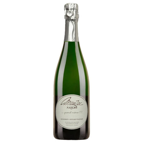 Domaine Plageoles Gaillac Mauzac Nature Sparkling 2020 (1500ml)-Champagne & Sparkling-World Wine