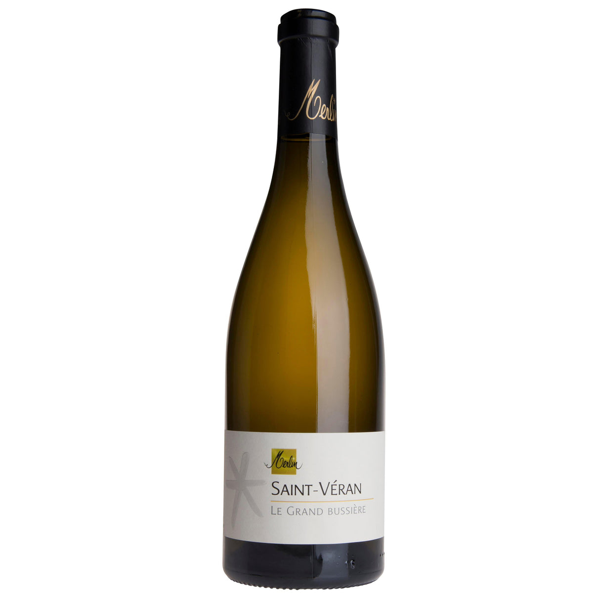 Domaine Olivier Merlin Saint Véran Le Grand Bussière 2021-White Wine-World Wine