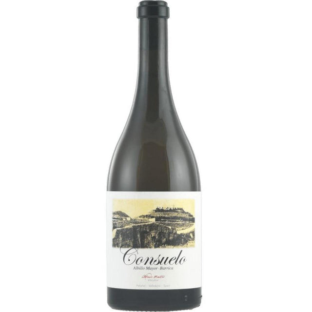 Alfredo Maestro Consuelo 2020-Red Wine-World Wine