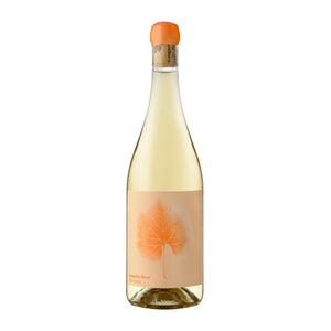 Kangarilla Road SIXMO Chardonnay 2021