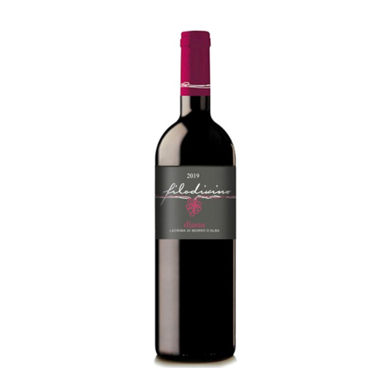 Filodivino Diana Lacrima di Morro d'Alba 2019-Red Wine-World Wine