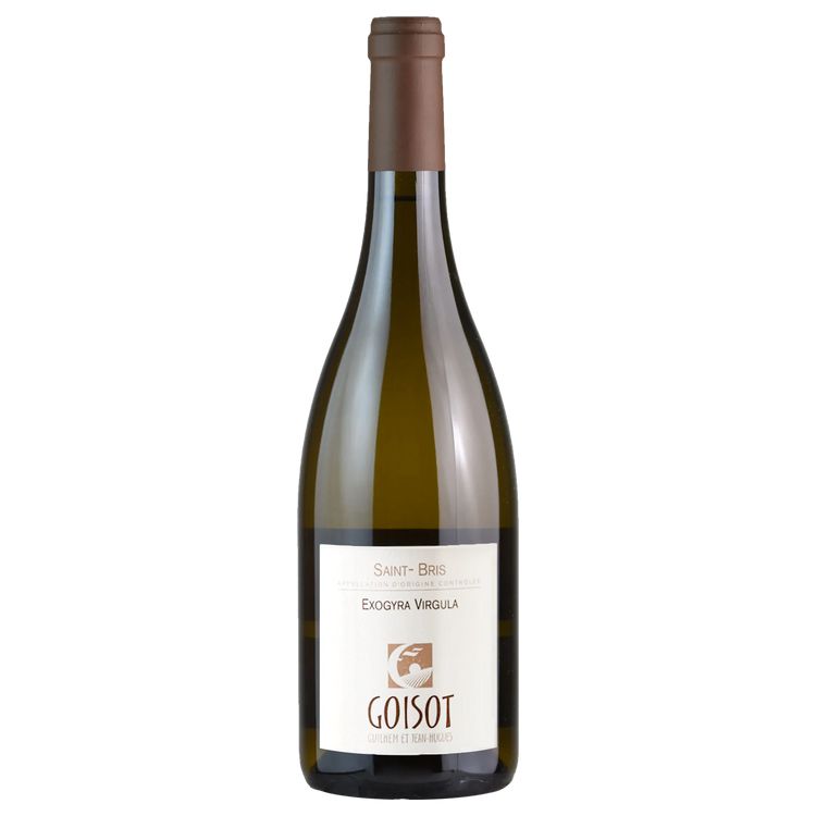 Domaine Guilhem & J-Hugues Goisot Bourgogne Côtes d'Auxerre Gondonne Blanc 2020-White Wine-World Wine
