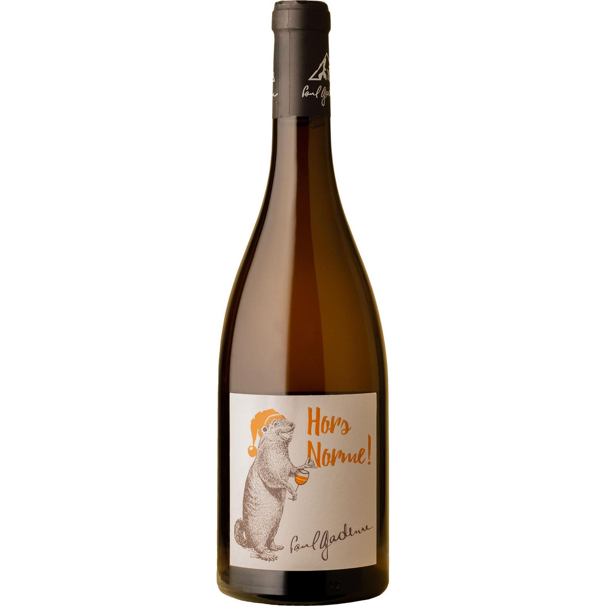 Paul Gadenne Hors Norme Blanc Jacquère 2022-White Wine-World Wine