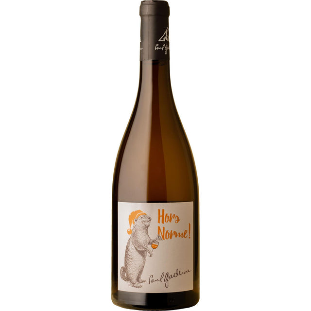 Paul Gadenne Hors Norme Blanc Jacquère 2022-White Wine-World Wine