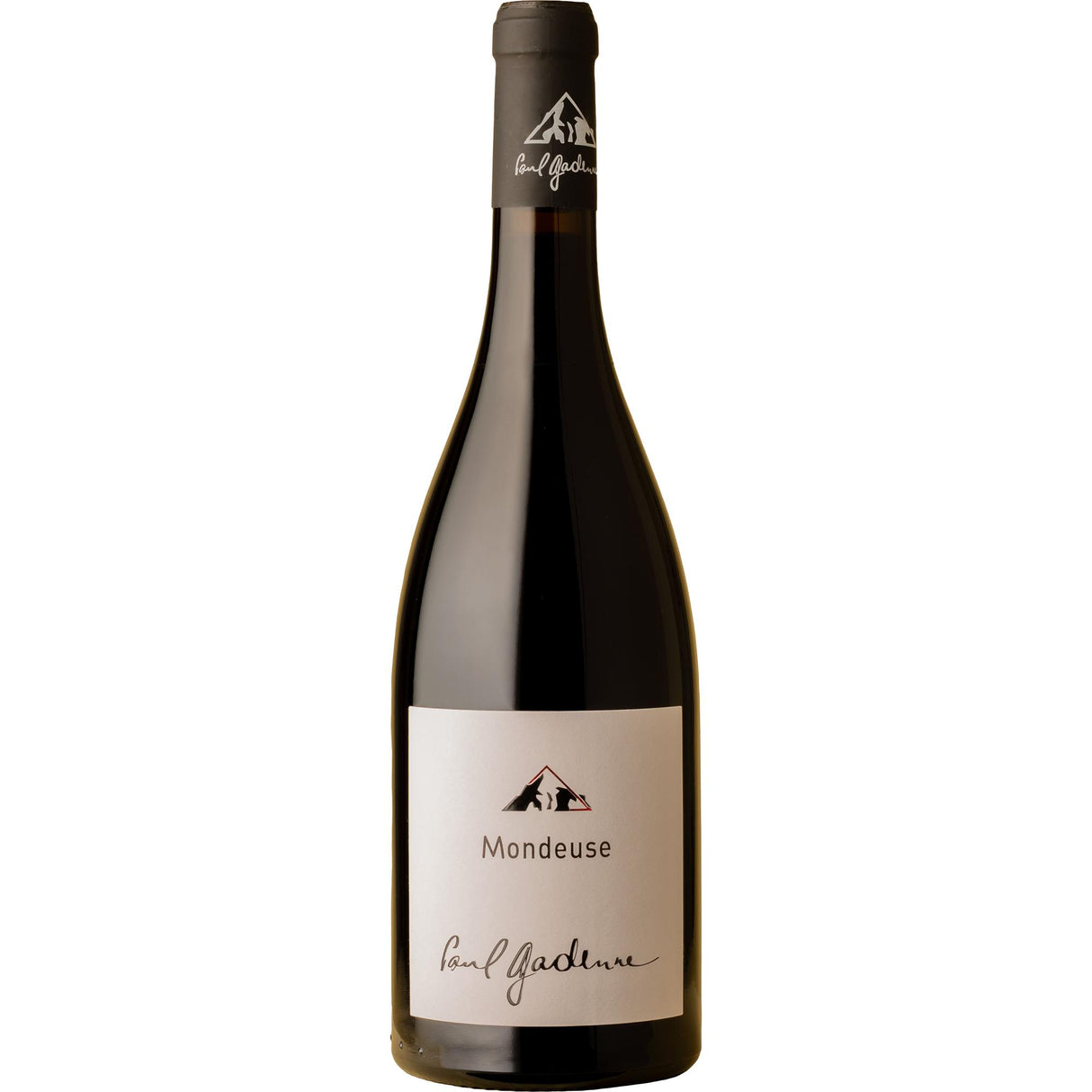 Paul Gadenne Chignin Mondeuse 2020-Red Wine-World Wine