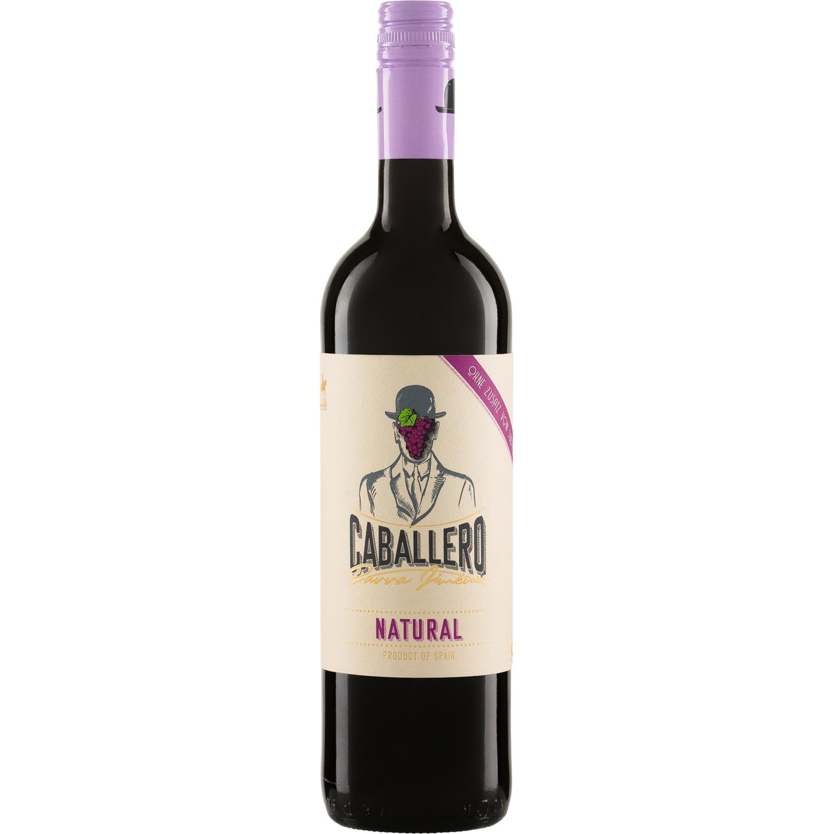 Parra Jimenez Caballero Parra Jimenez Tinto Natural La Mancha D.O. ohne SO2-Zusatz-Red Wine-World Wine