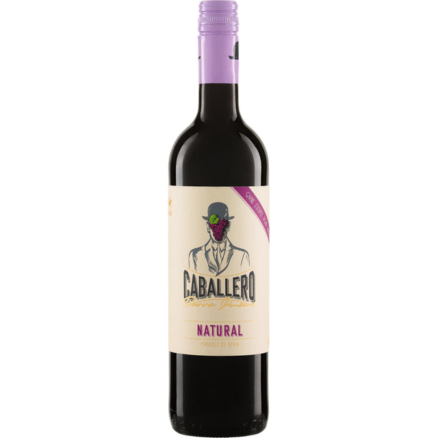 Parra Jimenez Caballero Parra Jimenez Tinto Natural La Mancha D.O. ohne SO2-Zusatz-Red Wine-World Wine