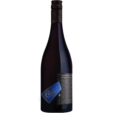 Quealy Seventeen Rows Pinot Noir 2021-Red Wine-World Wine