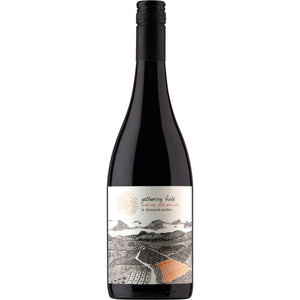 Thousand Candles Gathering Field Pinot Noir 2024