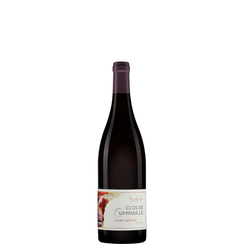 Domaine Pierre Gaillard Saint-Joseph Clos de Cuminaille 2021-Red Wine-World Wine