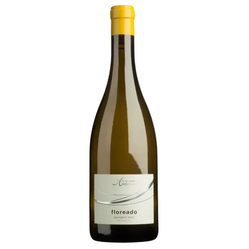 Cantina Andrian Classic Floreado Sauvignon Blanc 2023-White Wine-World Wine