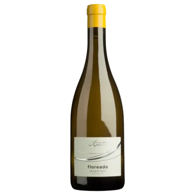 Cantina Andrian Classic Floreado Sauvignon Blanc 2023-White Wine-World Wine
