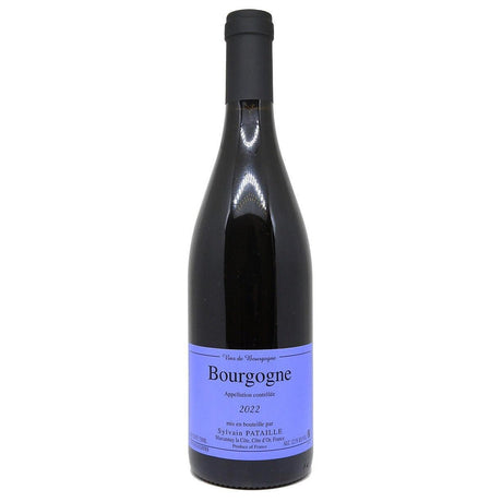 Sylvain Pataille Bourgogne Rouge 2022-Red Wine-World Wine