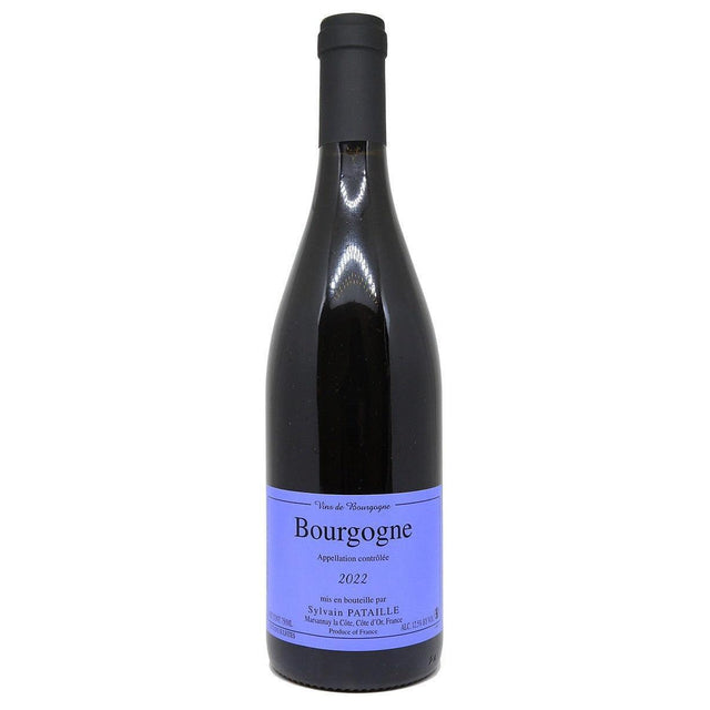 Sylvain Pataille Bourgogne Rouge 2022-Red Wine-World Wine