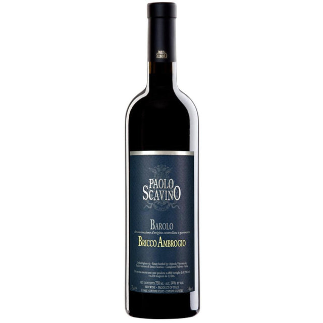 Paolo Scavino Barolo Bricco Ambrogio DOCG 2019-Red Wine-World Wine