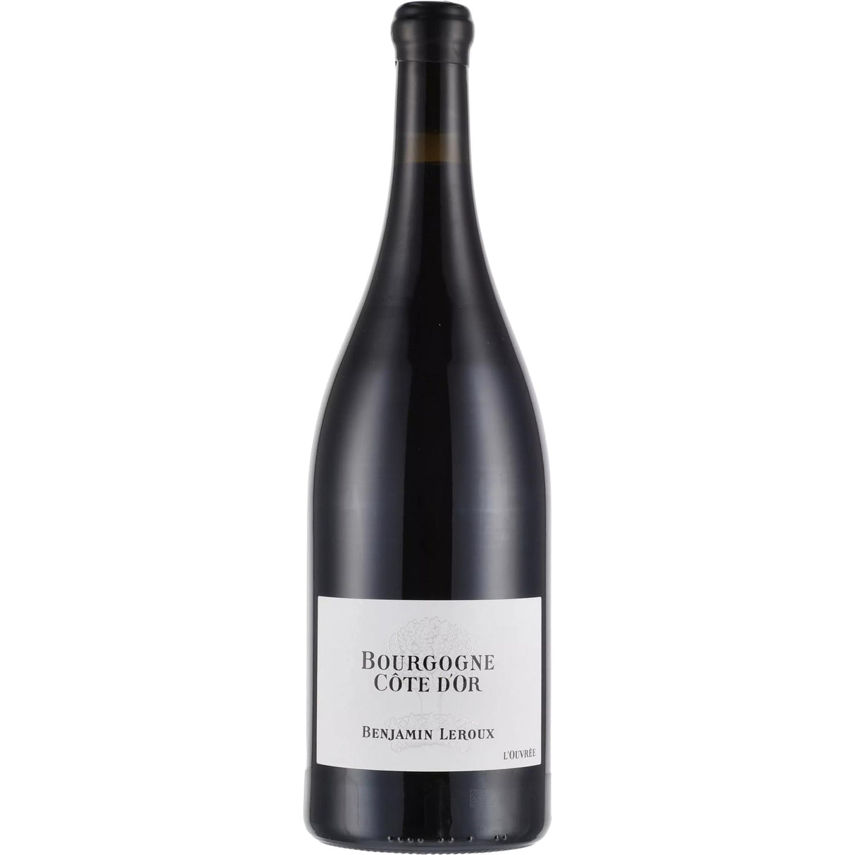 Benjamin Leroux Bourgogne Côte d'Or Rouge 2023 (1500ml)-Red Wine-World Wine