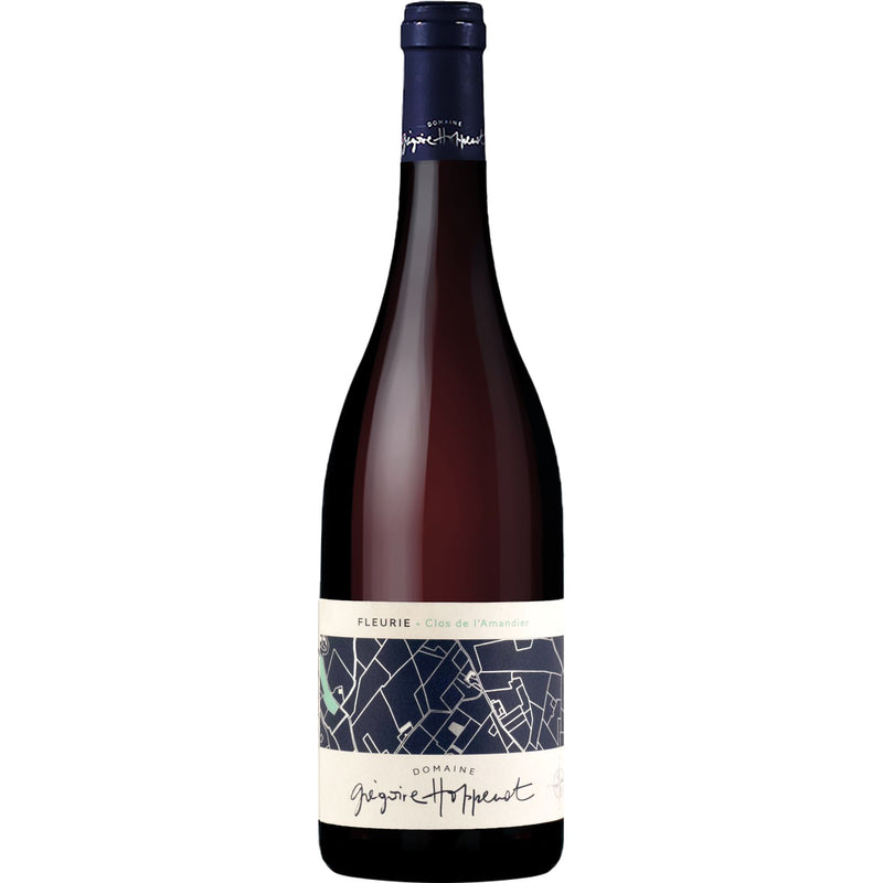 Gregoire Hoppenot Fleurie Clos De l'Amandier 2021-Red Wine-World Wine
