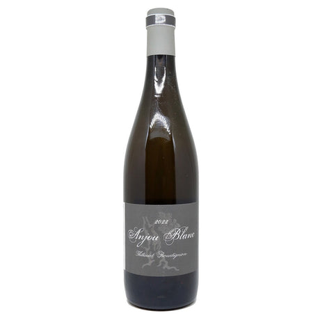 Arnaud Lambert Thibaud Boudignon 1.5L 2022-White Wine-World Wine