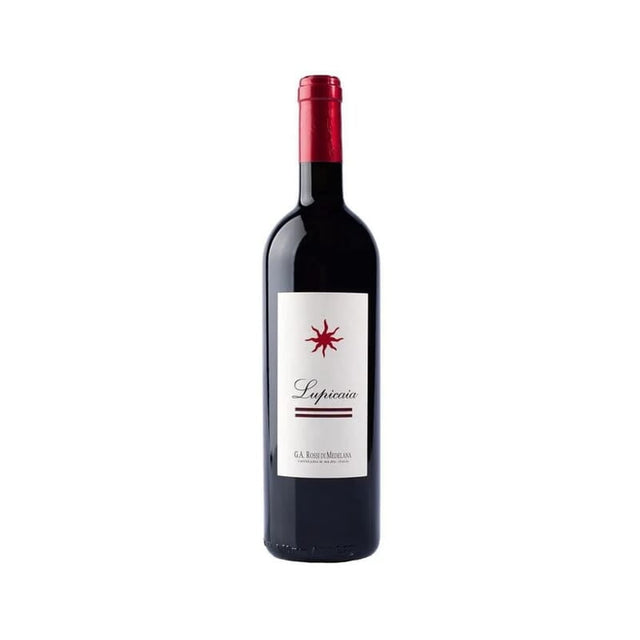 Castello Del Terriccio Lupicaia 2010-Red Wine-World Wine