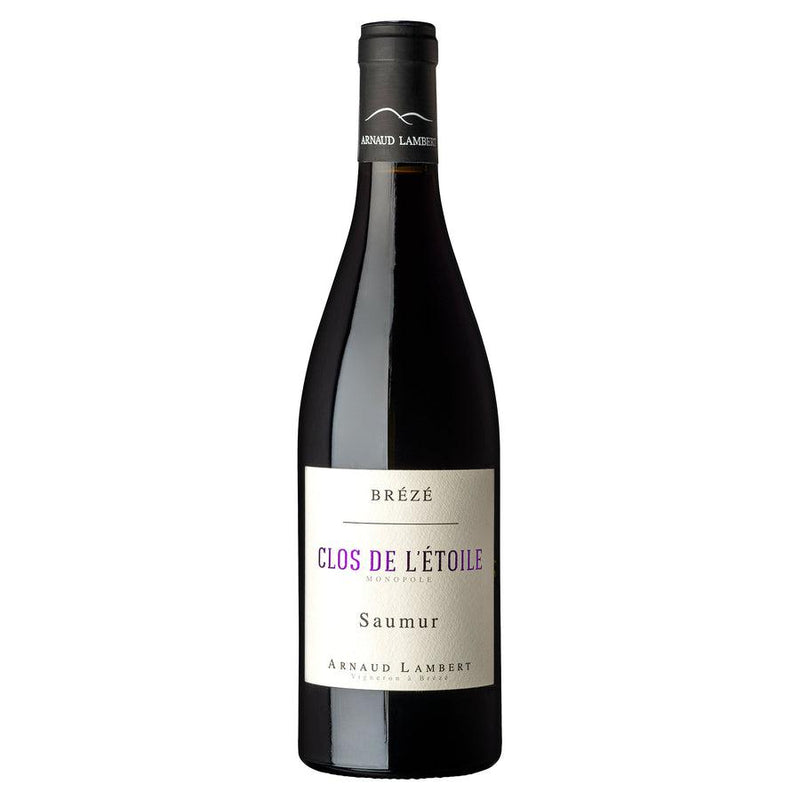 Arnaud Lambert Saumur Breze Clos De L'Etoile 2019 (6 Bottle Case)-Red Wine-World Wine