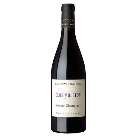 Arnaud Lambert Saumur Champigny Clos Moleton 2019-Red Wine-World Wine