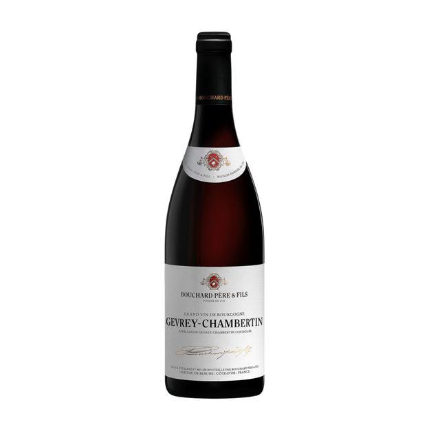 Bouchard Pere & Fils Gevrey Chambertin 2019-Red Wine-World Wine