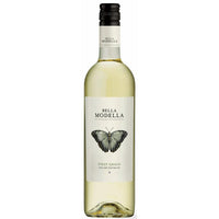 Bella Modella Pinot Grigio 2025-White Wine-World Wine
