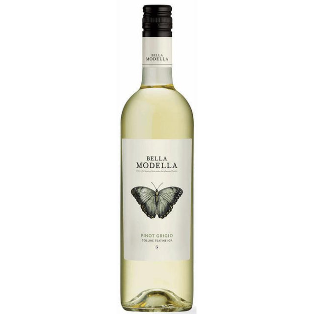 Bella Modella Pinot Grigio 2025-White Wine-World Wine