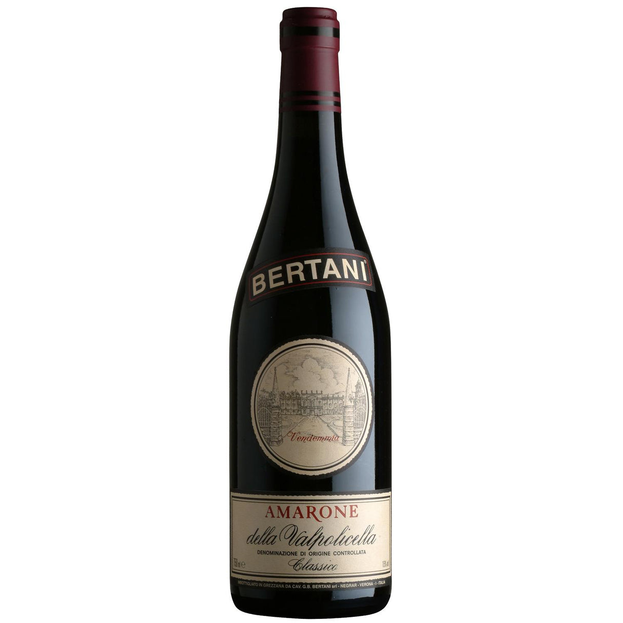 Bertani Amarone della Valpolicella Classico DOC 1.5L (Magnum) 2015-Red Wine-World Wine