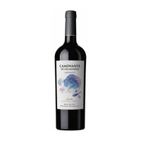 Caminante De Los Mundos Uco Valley Organic Cabernet Franc 2021-Red Wine-World Wine