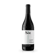 Cascina Sòt Langhe DOC Nebbiolo 2020-Red Wine-World Wine