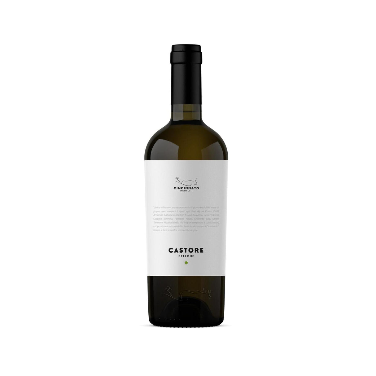 Cincinnato Castore Bellone IGP Lazio Bianco 2022-White Wine-World Wine
