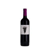 Château Jonc-Blanc Jonc Blanc VDF Rouge Sens du Fruit 2018 -clearance-Red Wine-World Wine