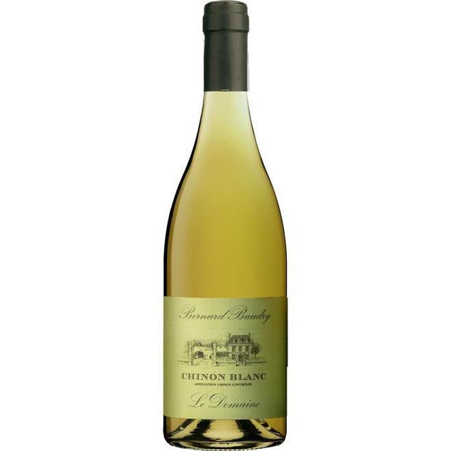 Domaine Bernard Baudry Chinon Blanc 2023-White Wine-World Wine