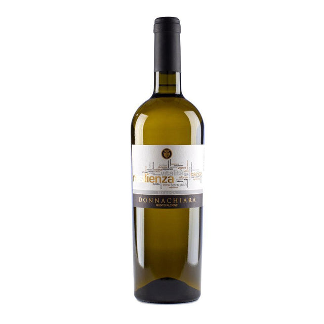 Donnachiara Benventano Falanghina Resilienza IGT 2022-White Wine-World Wine