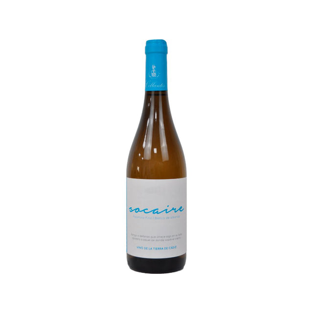 ‘Primitivo Collantes ‘Socaire’ 2019-White Wine-World Wine