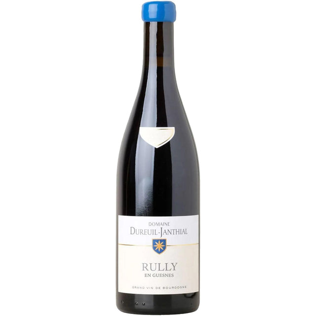 Domaine Dureuil-Janthial Rully Rouge 2022-Red Wine-World Wine