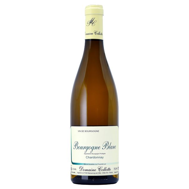 Philippe Collotte Bourgogne blanc 2023-Red Wine-World Wine