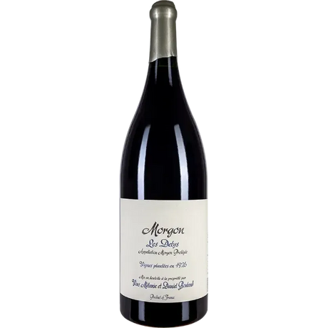 Domaine Daniel Bouland Morgon Délys Vignes de 1926 2023 (1500ml)-Red Wine-World Wine