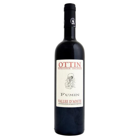 Elio Ottin Fumin DOP 2019-Red Wine-World Wine
