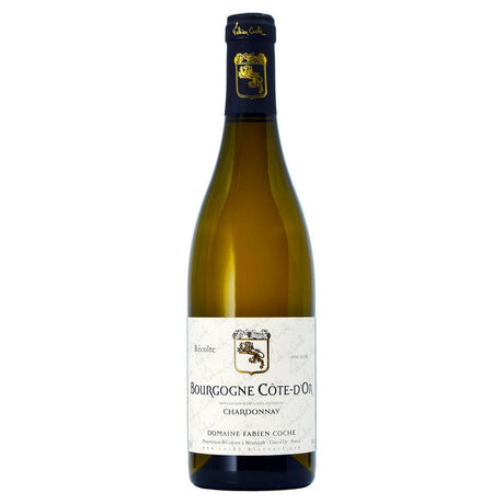 Fabien Coche Bourgogne Côte d'Or Chardonnay 2022-White Wine-World Wine